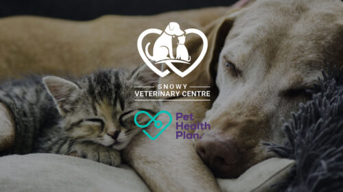 Snowy Vets & Pet Health Plan
