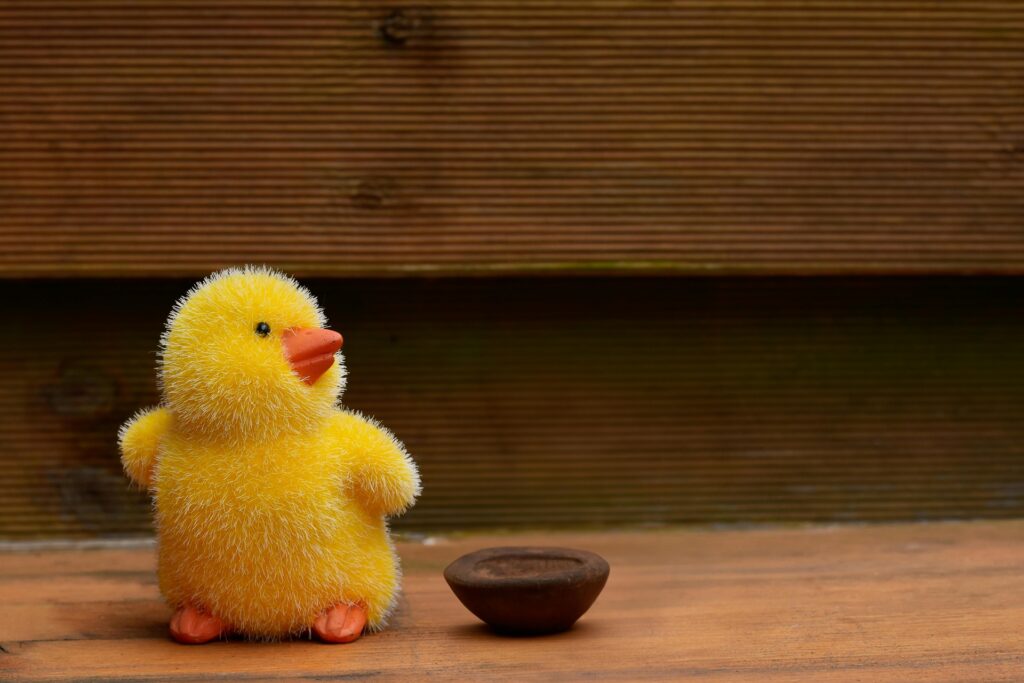 Easter Chick
