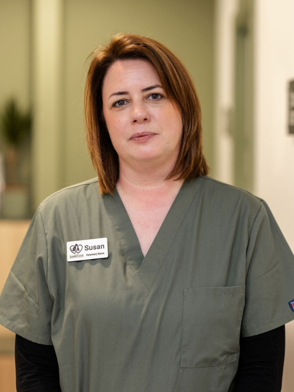 Sue is one of our amazing veterinary nurses
