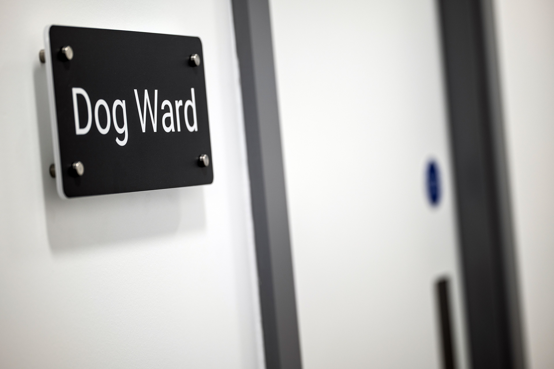 Dog Ward Sign